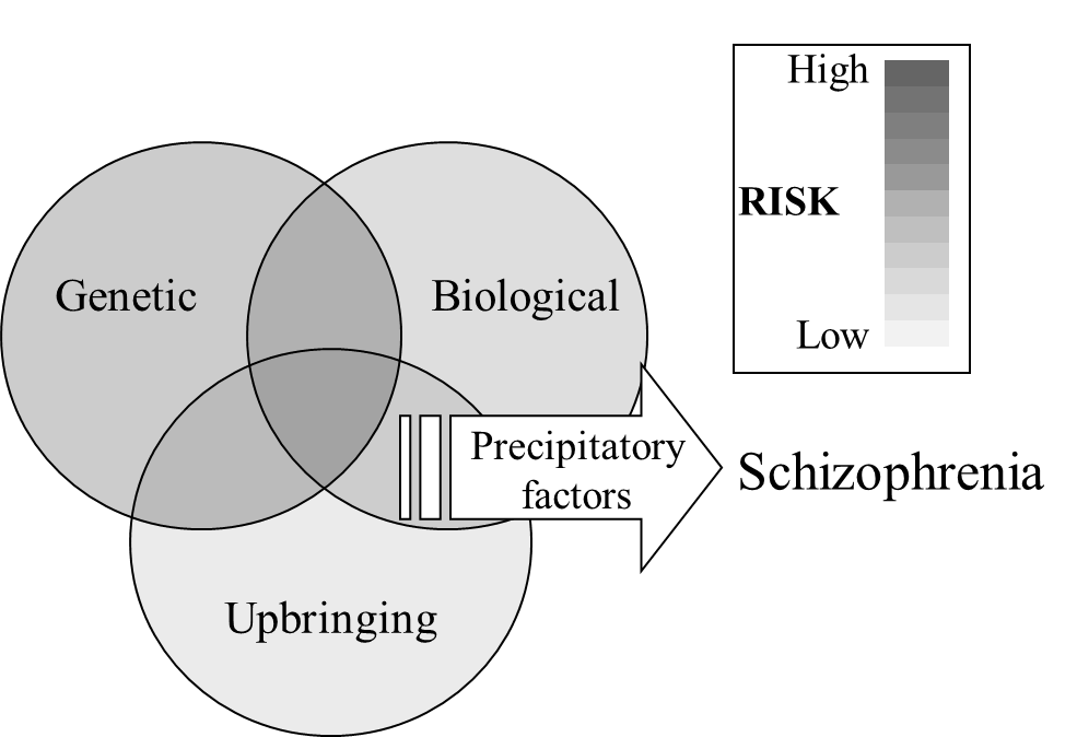 Venn diagram of precipitatory factors and associated risk levels for schizophrenia