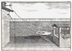 18th c line drawing of Galvani's experiment to remotely excite the crural nerve of a frog leg by means of a spark released by the conductor of an electrostatic machine. The experiment is set up outdoors with the frog leg on a table.