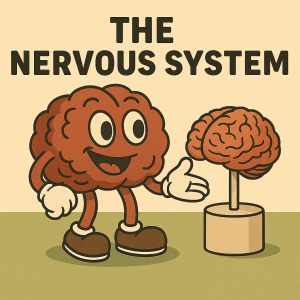 Cartoon Brain Mascot