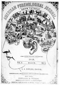 Phrenology Head