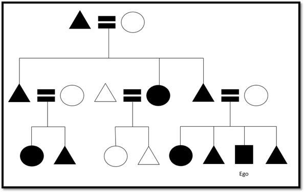 Image of a patrilineal household