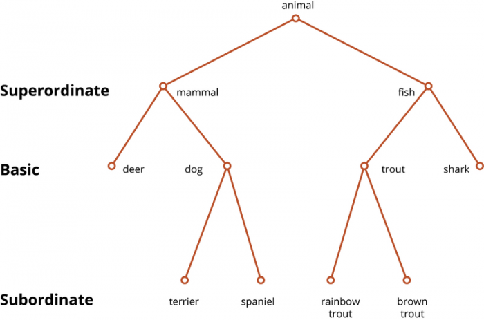 Cognitive hierarchy using the category mammal.