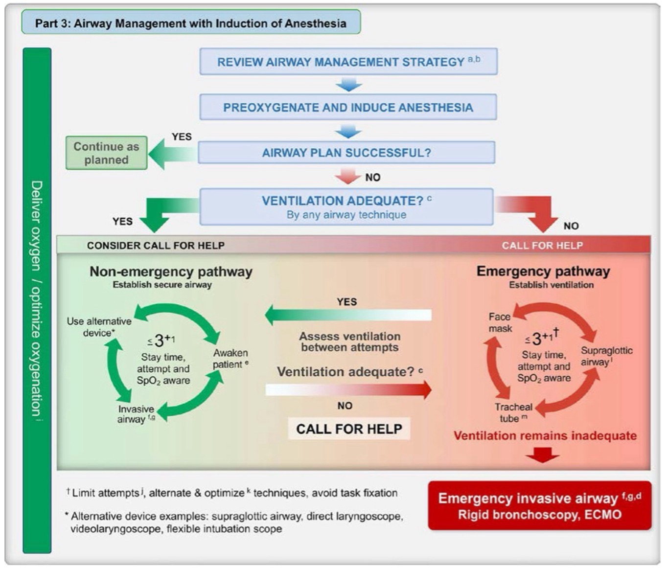 Airway Management with Induction of Anesthesia