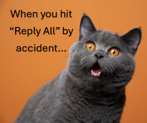 When you hit reply all by accident cat meme