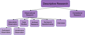 A flowchart illustrating types of Descriptive Research. It splits into Observational Research and Correlational Research. Observational Research includes Naturalistic Observation (which branches into Participant and Unobtrusive Observation), Case Studies, Archival Research, Surveys & Questionnaires, and Interviews.