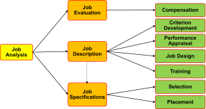 A flowchart depicting the relationship between job analysis, job evaluation, job description, and job specifications with various HR functions.