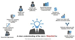An infographic centered around a figure with a lightbulb head, illustrating ten reasons why a clear understanding of a job is essential. Each reason is paired with an icon and includes: identifying top performers, protecting against regulatory sanctions, evaluating productivity, recruiting effectively, managing low performers, benchmarking jobs for fair compensation, developing salary structures, succession planning, motivating with career paths, and identifying training gaps. The bottom text reads: "A clear understanding of the Job is Required to:" followed by the listed points, with a source link to hrtms.com.