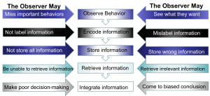 A flowchart comparing two observer error scenarios. The middle column lists five cognitive steps: Observe Behavior, Encode Information, Store Information, Retrieve Information, and Integrate Information. The left side outlines errors like missing behaviors and poor decision-making, while the right side shows biases such as seeing what they want and coming to biased conclusions.