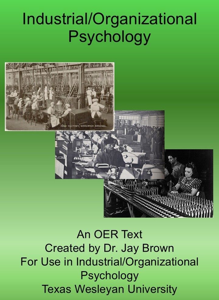 Cover image for Industrial/Organizational Psychology TxWes