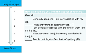 A job satisfaction survey with five statements rated on a scale from 1 (Disagree Strongly) to 7 (Agree Strongly). Statements include: “I am very satisfied with my job,” “I frequently think of quitting my job” (R), “I am generally satisfied with the kind of work I do,” “Most people on this job are very satisfied,” and “People on this job often think of quitting” (R).