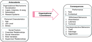 A diagram showing the relationship between antecedents and consequences of organizational commitment. The antecedents are divided into three categories: Organizational Mechanisms (Socialization, Logos, insignias, & swag, Newsletters, Reward Systems), Personal Characteristics (Age, Job Level, Stress), and Social Factors (Coworker Relationships, Social Interaction, Role Variables, Supervisor Relationships). The consequences are divided into three categories: Performance (Task, Contextual), Withdrawal Behaviors (Absenteeism, Lateness, Turnover), and Counterproductive Behaviors (Theft, Sabotage, Aggression).