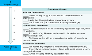 A commitment scale divided into three categories—Affective Commitment, Continuance Commitment, and Normative Commitment. Each category contains three statements to be rated from 1 (Disagree Strongly) to 7 (Agree Strongly), assessing emotional attachment, perceived cost of leaving, and moral obligation to stay with an organization.