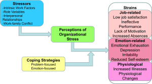 Flowchart showing the relationship between workplace stressors, perceptions of organizational stress, coping strategies, and resulting strains. Stressors include intrinsic work factors, role variables, interpersonal relationships, and work-family conflict. These influence perceptions of stress, which lead to coping strategies—problem-focused or emotion-focused—and result in job-related, emotional, and physiological strains.