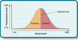 Graph showing the relationship between stress level and performance level. The x-axis represents stress from low to high, and the y-axis represents performance from low to high. The bell-shaped curve is divided into "Eustress" (yellow, left side) and "Distress" (red, right side), with the peak labeled "Optimal level" indicating the highest performance.