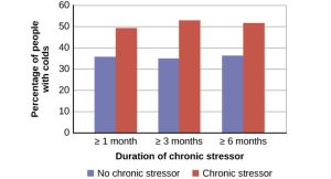 Bar graph showing the percentage of people with colds based on the duration of chronic stressors. The x-axis includes durations of ≥1 month, ≥3 months, and ≥6 months. For each duration, two bars are shown: blue for "No chronic stressor" and red for "Chronic stressor." The red bars are consistently higher, indicating more colds among those with chronic stress.