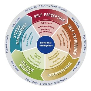 Circular diagram divided into five labeled sections: Self-Perception, Self-Expression, Interpersonal, Decision Making, and Stress Management. Each section relates to emotional and social functioning, performance, and well-being.