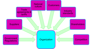 Diagram showing a central "Organization" box surrounded by eight external factors—national culture, customers, industry standards, shareholders, competition, government regulations, suppliers, and trade agreements—connected by arrows indicating influence.