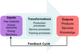 Diagram showing the Systems Theory cycle with three stages: Inputs (raw materials, human resources, energy, machinery), Transformations (production, service, training processes), and Outputs (products, services, knowledge), connected by a feedback loop from outputs to inputs.