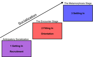 Diagram showing three stages of socialization: Anticipatory Socialization (Getting In, Recruitment), Encounter Stage (Fitting In, Orientation), and Metamorphosis Stage (Settling In), each represented in separate colored boxes.
