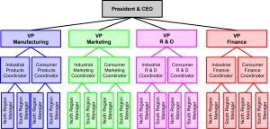 A hierarchical chart showing a functional organizational structure with the President & CEO at the top, followed by VPs of Manufacturing, Marketing, R&D, and Finance. Each VP oversees coordinators for Industrial and Consumer sectors, who manage North and South Region Managers.