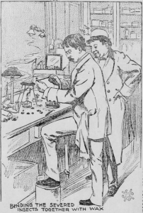 Two men standing together at a bench, one is interacting with science equipment.