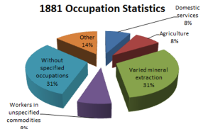 A pie chart titled "1881 Occupation Statistics" divided into six segments representing occupational categories and their percentages: Without specified occupations (31%), Varied mineral extraction (31%), Other (14%), Workers in unspecified commodities (8%), Domestic services (8%), and Agriculture (8%).